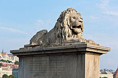 《New宝可梦随乐拍》免费更新上线 新区域新宝可梦登场